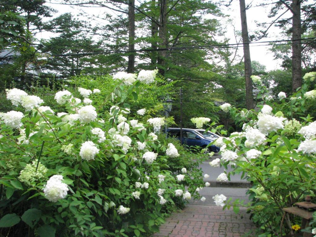 Hotel De Karuizawa Wald Экстерьер фото